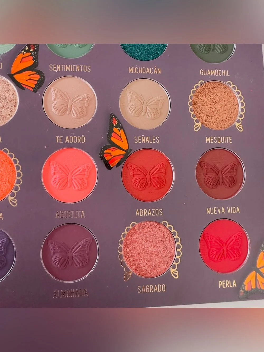 Melt Cosmetics title melt